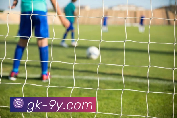 九游官网APP 封面图